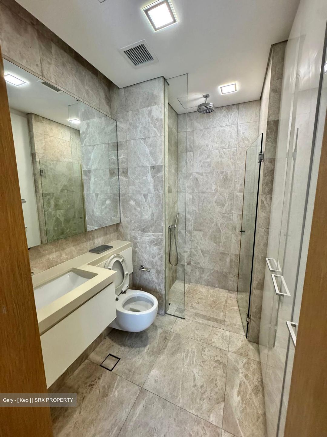 The Laurels (D9), Condominium #484042391